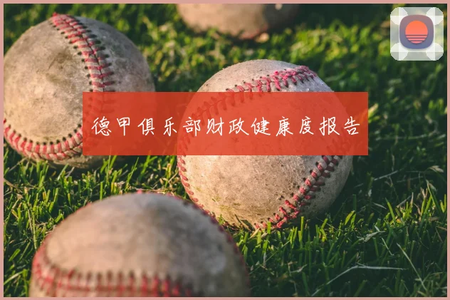德甲俱乐部财政健康度报告