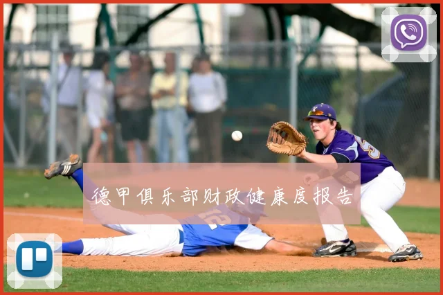 德甲俱乐部财政健康度报告
